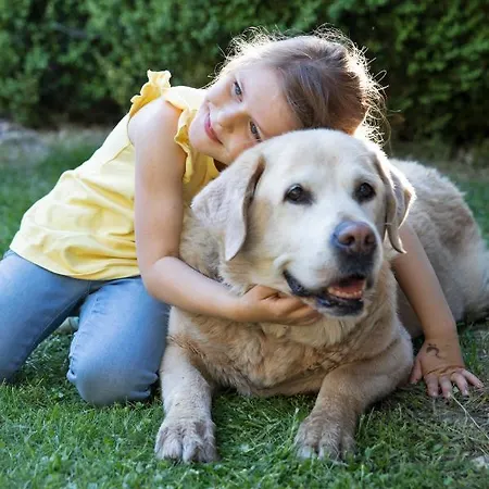 Dorf In Der Stadt Apartment *